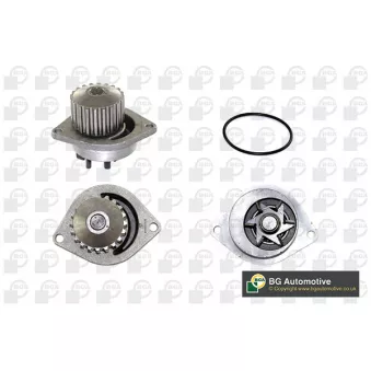 Pompe à eau, refroidissement du moteur BGA CP2838