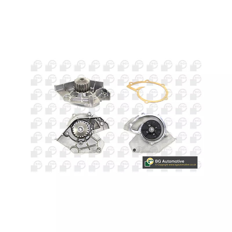 Pompe à eau, refroidissement du moteur BGA CP2840