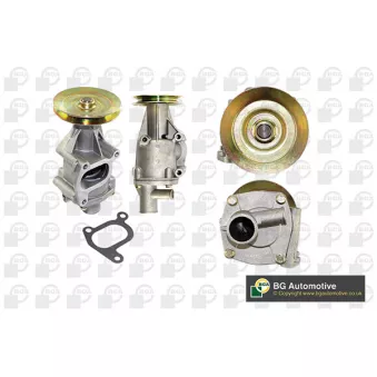 Pompe à eau, refroidissement du moteur BGA CP2846