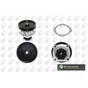 Pompe à eau, refroidissement du moteur BGA CP2860