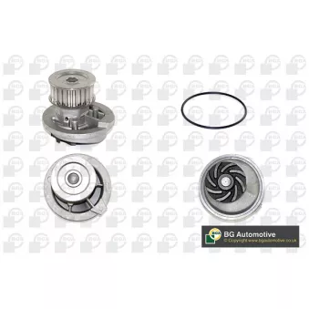 Pompe à eau, refroidissement du moteur BGA CP2894