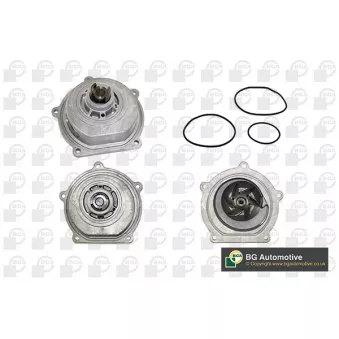 Pompe à eau, refroidissement du moteur BGA CP2920