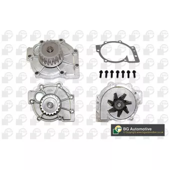 Pompe à eau, refroidissement du moteur BGA CP2930