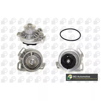 Pompe à eau, refroidissement du moteur BGA CP3020