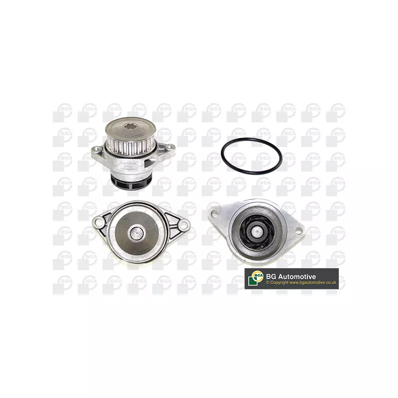 Pompe à eau, refroidissement du moteur BGA CP3060