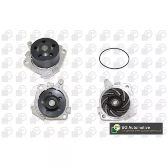 Pompe à eau, refroidissement du moteur BGA CP3090