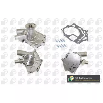 Pompe à eau, refroidissement du moteur BGA CP3134