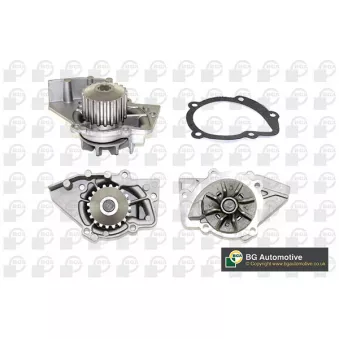 Pompe à eau, refroidissement du moteur BGA CP3160