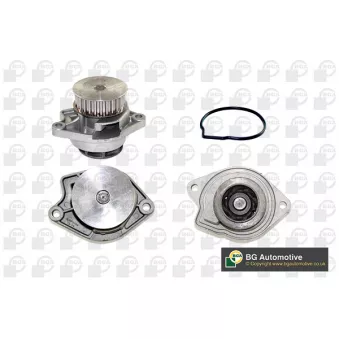 Pompe à eau, refroidissement du moteur BGA CP3162