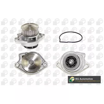 Pompe à eau, refroidissement du moteur BGA CP3164