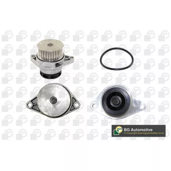 Pompe à eau, refroidissement du moteur BGA CP3166