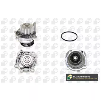 Pompe à eau, refroidissement du moteur BGA CP3176
