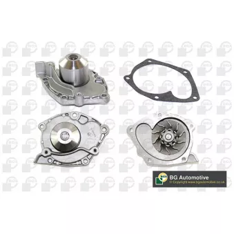 Pompe à eau, refroidissement du moteur BGA CP3336