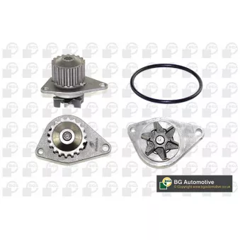 Pompe à eau, refroidissement du moteur BGA CP3384