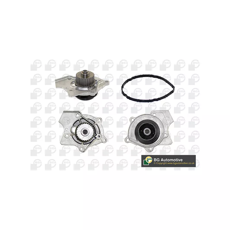 Pompe à eau, refroidissement du moteur BGA CP3916