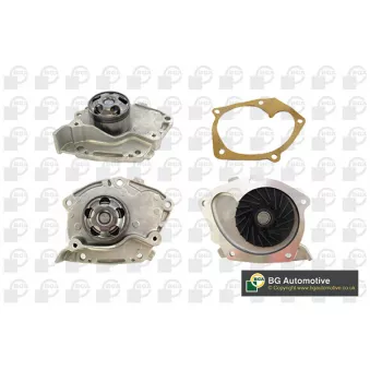Pompe à eau, refroidissement du moteur BGA CP3920