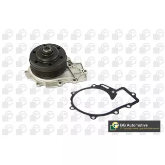 Pompe à eau, refroidissement du moteur BGA CP5607