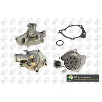 Pompe à eau, refroidissement du moteur BGA CP6500T