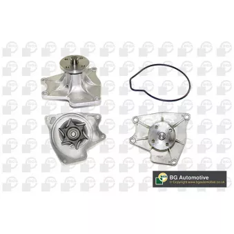 Pompe à eau, refroidissement du moteur BGA CP6894T