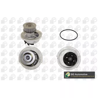 Pompe à eau, refroidissement du moteur BGA CP6972T
