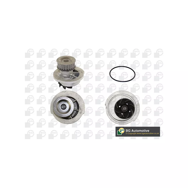 Pompe à eau, refroidissement du moteur BGA CP6972T