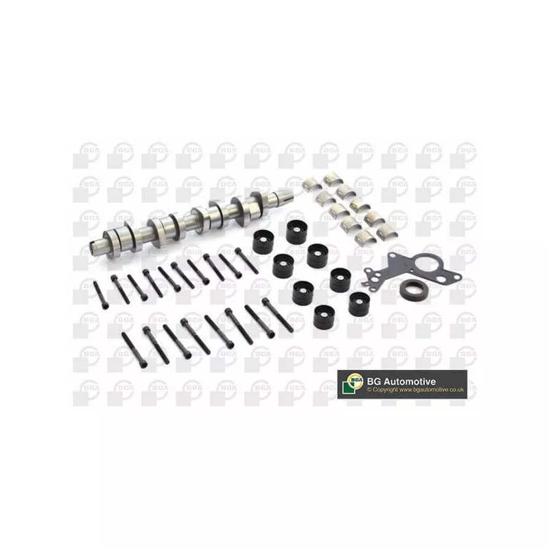 Jeu d'arbres à came BGA CS9503SFK
