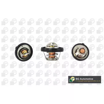 Thermostat, liquide de refroidissement BGA CT5290