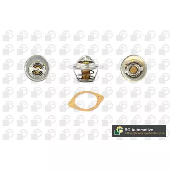 Thermostat, liquide de refroidissement BGA CT5311