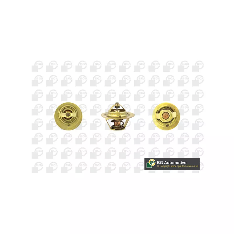 Thermostat, liquide de refroidissement BGA CT5487
