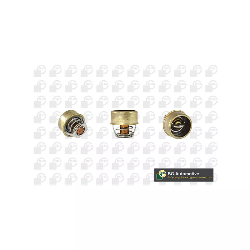 Thermostat, liquide de refroidissement BGA CT5527