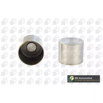 Poussoir de soupape BGA HL2302