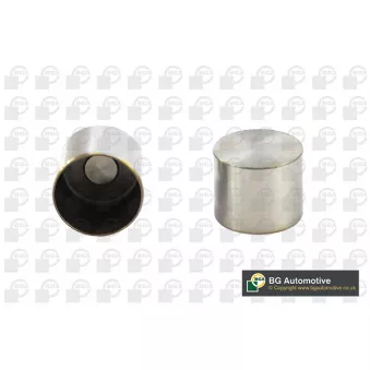 Poussoir de soupape BGA HL2304