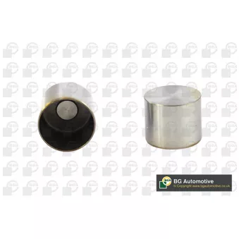 Poussoir de soupape BGA HL2307