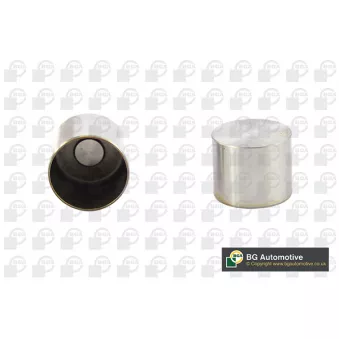 Poussoir de soupape BGA HL2308