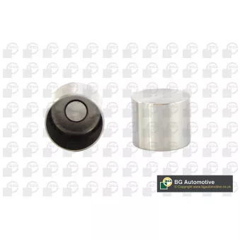 Poussoir de soupape BGA HL2311