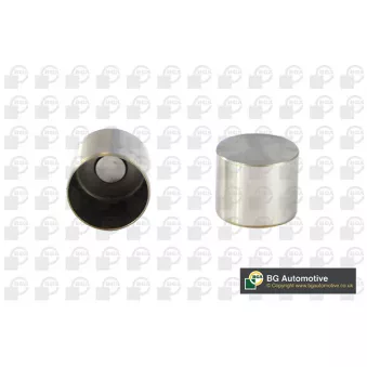 Poussoir de soupape BGA HL2313