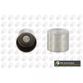 Poussoir de soupape BGA HL2320