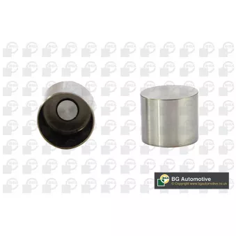 Poussoir de soupape BGA HL2334