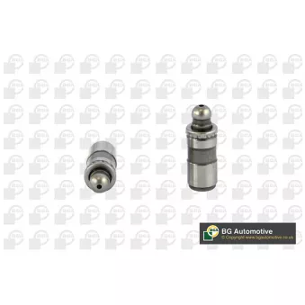 Poussoirs hydrauliques BGA HL5393