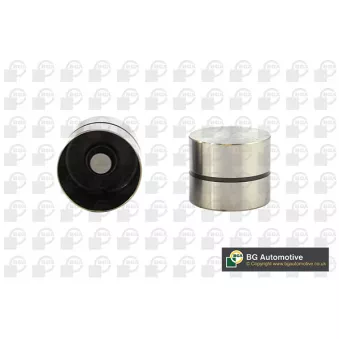 Poussoir de soupape BGA HL6310