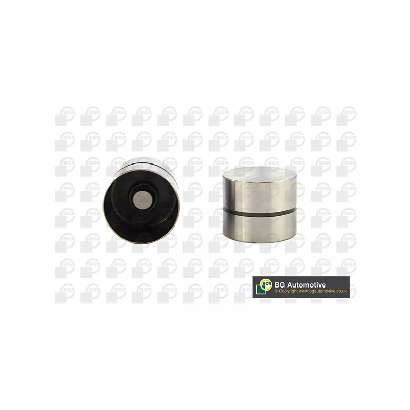 Poussoir de soupape BGA HL6310