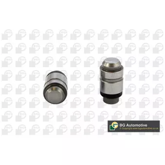 Poussoir de soupape BGA HL6333