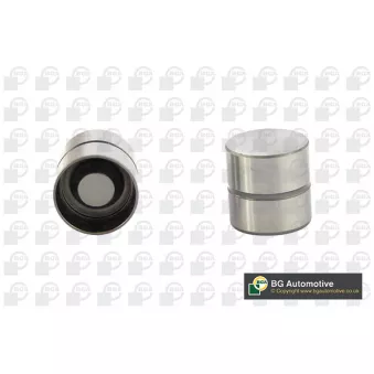 Poussoir de soupape BGA HL6338