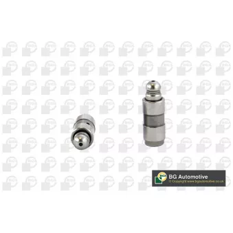 Poussoir de soupape BGA HL6345
