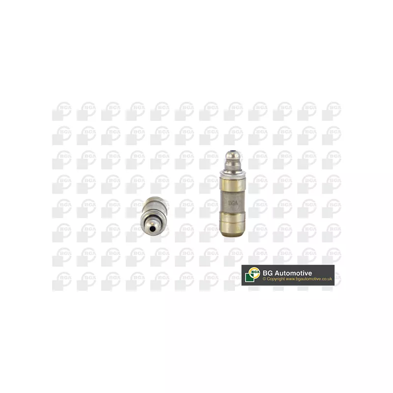 Poussoir de soupape BGA HL6365