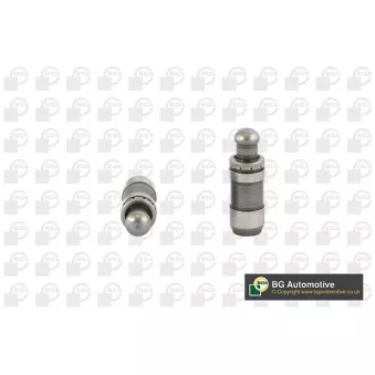 Poussoir de soupape BGA HL6371