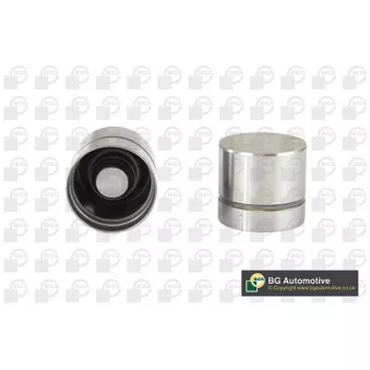 Poussoir de soupape BGA HL6379