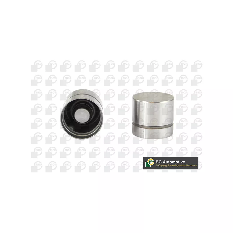 Poussoir de soupape BGA HL6379