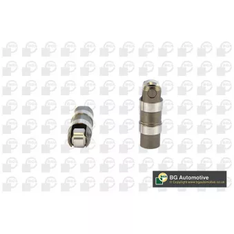 Poussoir de soupape BGA HL6385