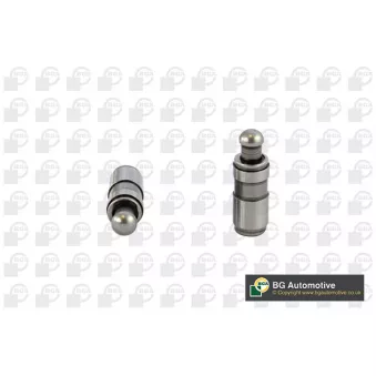 Poussoir de soupape BGA HL6398